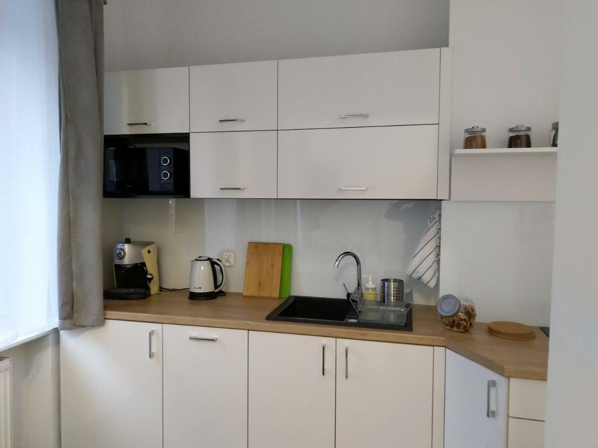 Apartament Przedzamcze Torun Exterior photo